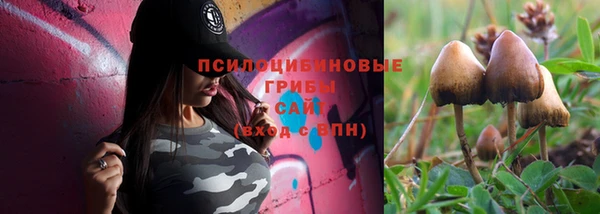 кокс Бородино