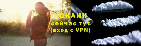 мдпв Бугульма