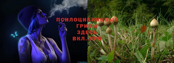 дистиллят марихуана Бронницы