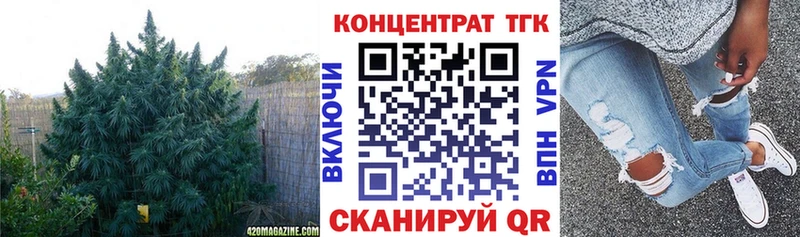 купить наркотики сайты  Катайск  ТГК гашишное масло 