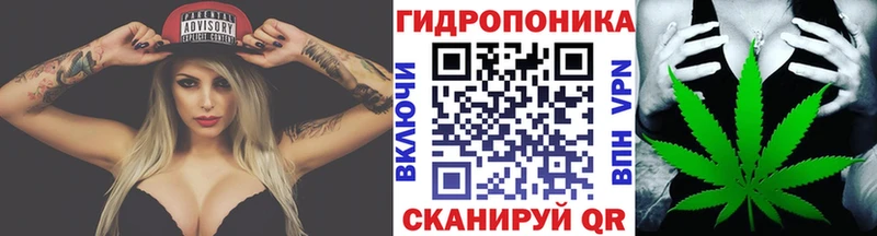 купить наркотик  Катайск  Бошки Шишки Ganja 